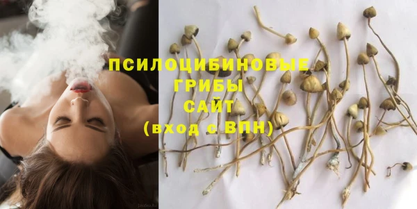 ГАЛЛЮЦИНОГЕННЫЕ ГРИБЫ Баксан