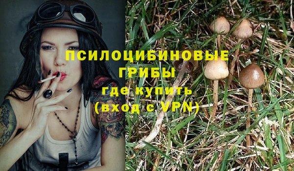 дживик Балабаново